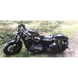 Brašna S89 SKULL H-D Sportster