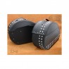 Sacoches Moto S34  *Seulement sur demande*