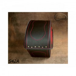 Sacoches Moto S42 *Seulement sur demande*
