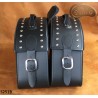 LEATHER SADDLEBAGS S251